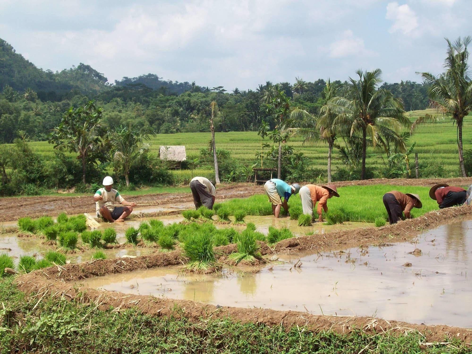 Bakung Ubud Resort And Villa מראה חיצוני תמונה